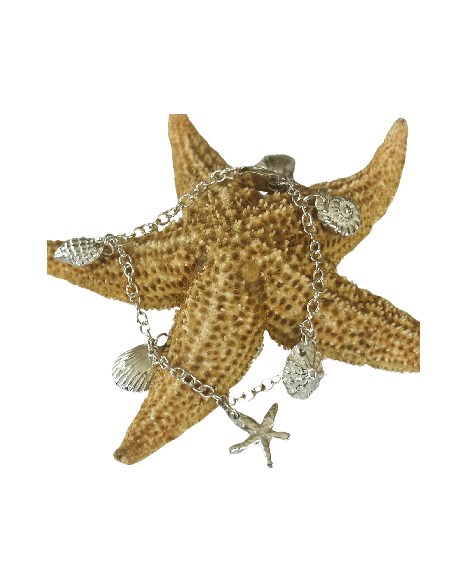 Fine Silver Ocean Charm Bracelet