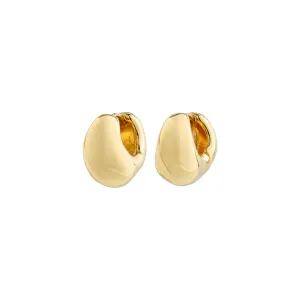 Light Gold Plated Hoops